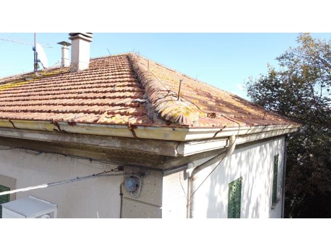 Anteprima foto 5 - Villa in Vendita a Senigallia (Ancona)