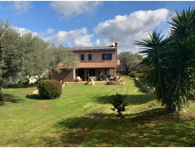 Anteprima foto 3 - Villa in Vendita a Serrata (Reggio Calabria)