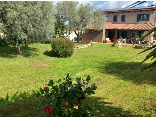 Anteprima foto 5 - Villa in Vendita a Serrata (Reggio Calabria)