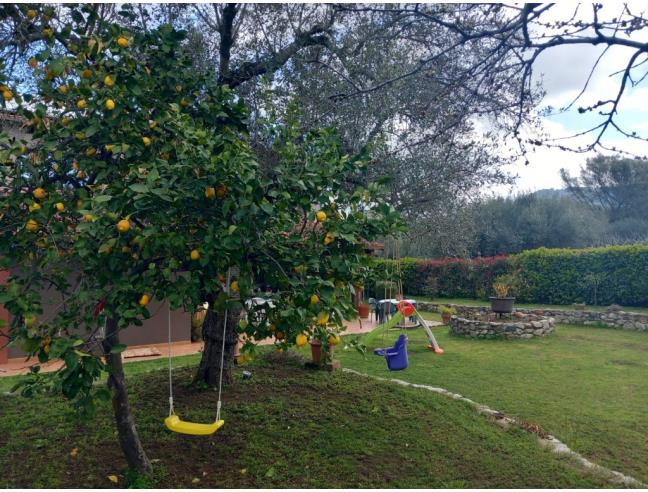 Anteprima foto 6 - Villa in Vendita a Serrata (Reggio Calabria)