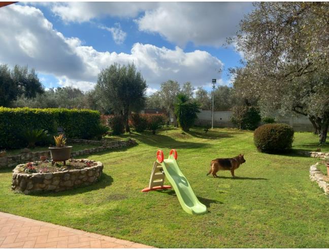 Anteprima foto 7 - Villa in Vendita a Serrata (Reggio Calabria)