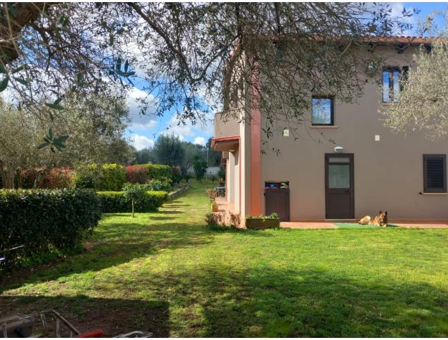 Anteprima foto 8 - Villa in Vendita a Serrata (Reggio Calabria)