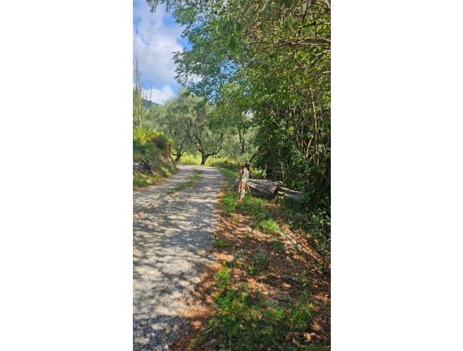 Anteprima foto 4 - Villa in Vendita a Serravalle Pistoiese (Pistoia)