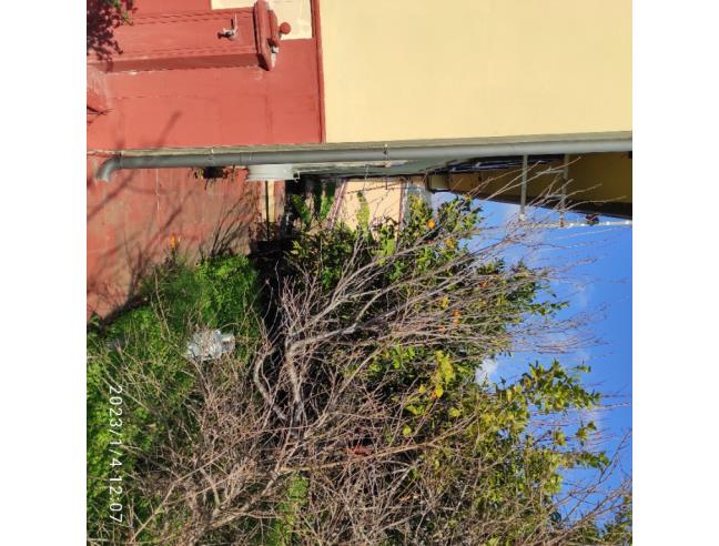 Anteprima foto 7 - Villa in Vendita a Settingiano (Catanzaro)