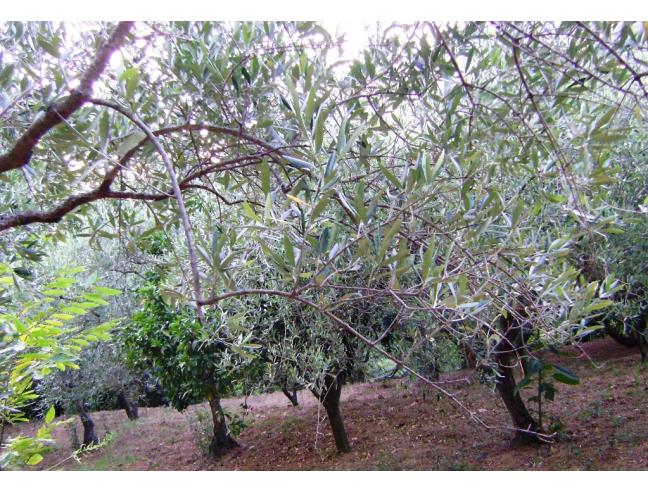 Anteprima foto 6 - Villa in Vendita a Sinagra (Messina)