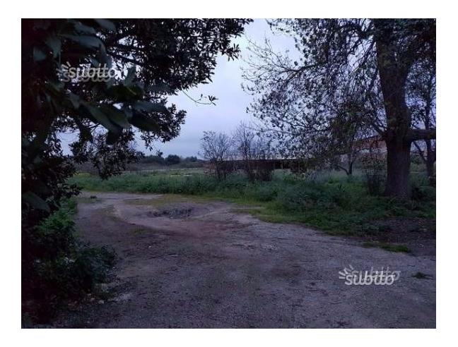 Anteprima foto 5 - Villa in Vendita a Siracusa (Siracusa)