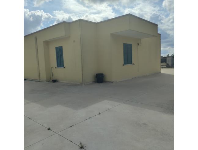 Anteprima foto 5 - Villa in Vendita a Sogliano Cavour (Lecce)