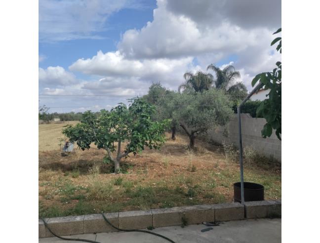 Anteprima foto 7 - Villa in Vendita a Sogliano Cavour (Lecce)