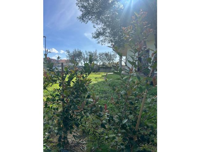 Anteprima foto 2 - Villa in Vendita a Soverato - Soverato Superiore