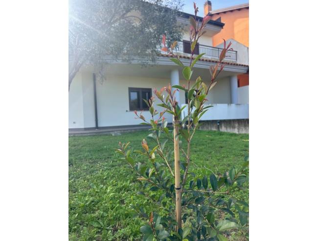 Anteprima foto 3 - Villa in Vendita a Soverato - Soverato Superiore