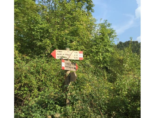 Anteprima foto 5 - Villa in Vendita a Sovicille (Siena)