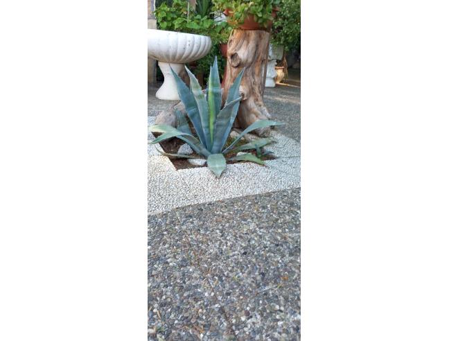 Anteprima foto 2 - Villa in Vendita a Taranto (Taranto)