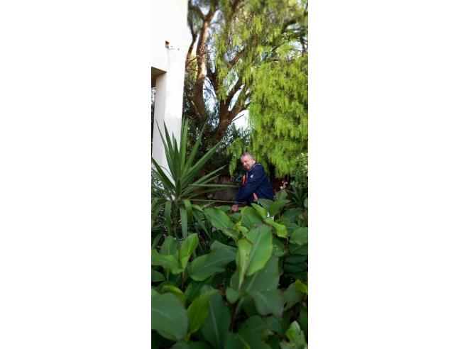 Anteprima foto 6 - Villa in Vendita a Taranto (Taranto)