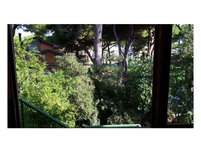 Anteprima foto 8 - Villa in Vendita a Tarquinia (Viterbo)