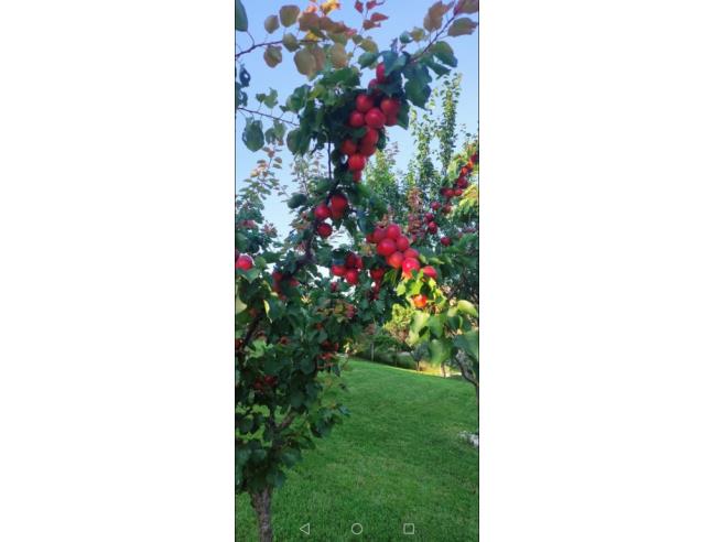 Anteprima foto 5 - Villa in Vendita a Teramo (Teramo)