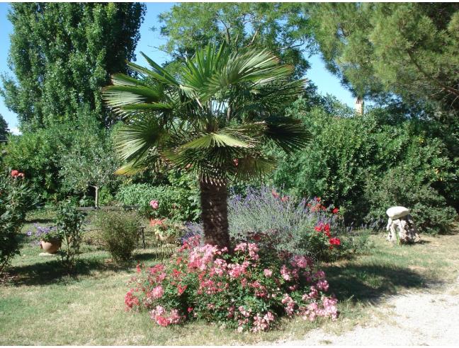 Anteprima foto 3 - Villa in Vendita a Terre Roveresche (Pesaro e Urbino)