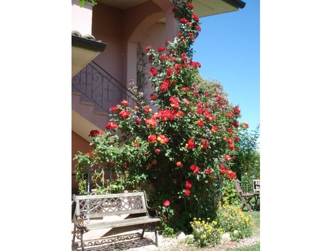 Anteprima foto 5 - Villa in Vendita a Terre Roveresche (Pesaro e Urbino)