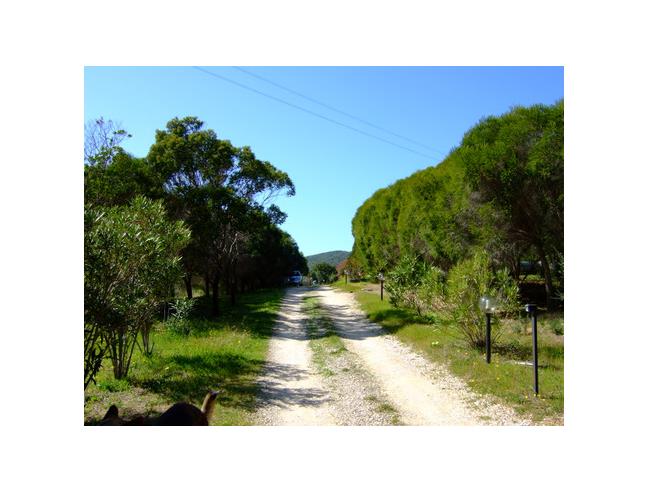 Anteprima foto 5 - Villa in Vendita a Teulada (Sud Sardegna)
