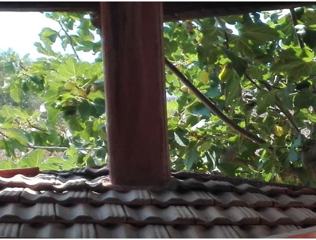 Anteprima foto 5 - Villa in Vendita a Torretta (Palermo)