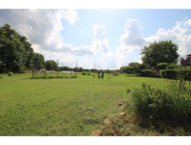 Anteprima foto 3 - Villa in Vendita a Torrita di Siena (Siena)