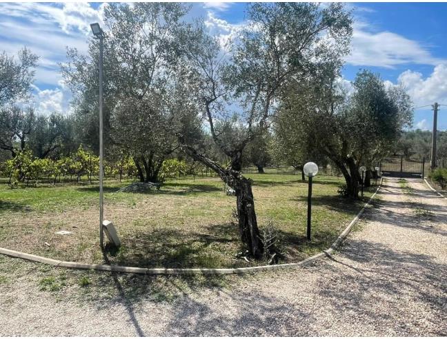 Anteprima foto 5 - Villa in Vendita a Tuscania (Viterbo)