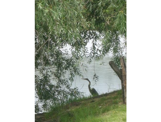 Anteprima foto 5 - Villa in Vendita a Vecchiano - Bufalina