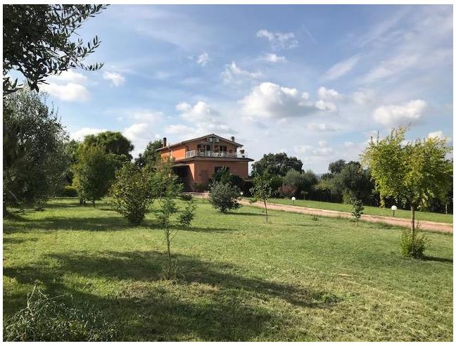 Anteprima foto 2 - Villa in Vendita a Velletri (Roma)