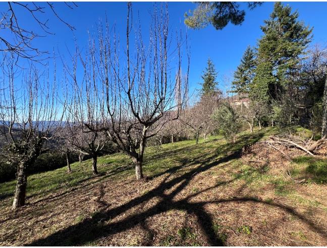 Anteprima foto 8 - Villa in Vendita a Vicchio - Ponte A Vicchio