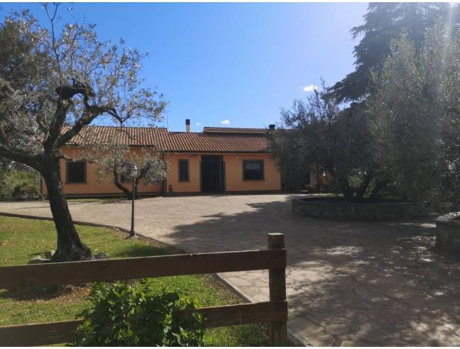 Anteprima foto 1 - Villa in Vendita a Viterbo - Ponte Di Cetti
