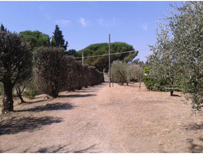 Anteprima foto 4 - Villa in Vendita a Viterbo - Sant'Angelo