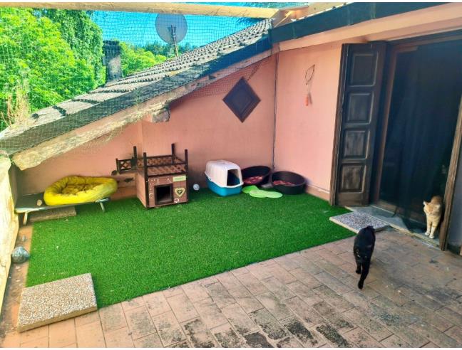Anteprima foto 5 - Villa in Vendita a Viterbo (Viterbo)