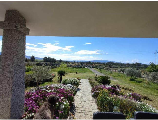 Anteprima foto 2 - Villa in Vendita a Zerfaliu (Oristano)