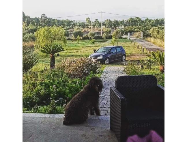 Anteprima foto 2 - Villa in Vendita a Zerfaliu (Oristano)