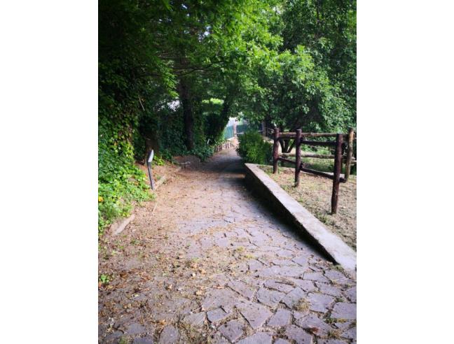 Anteprima foto 3 - Villa in Vendita a Zeri - Patigno