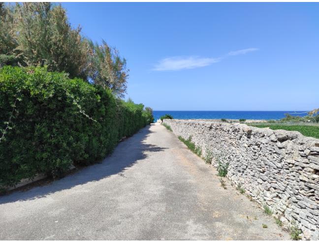 Anteprima foto 2 - Villetta a schiera in Affitto a Bisceglie (Barletta-Andria-Trani)