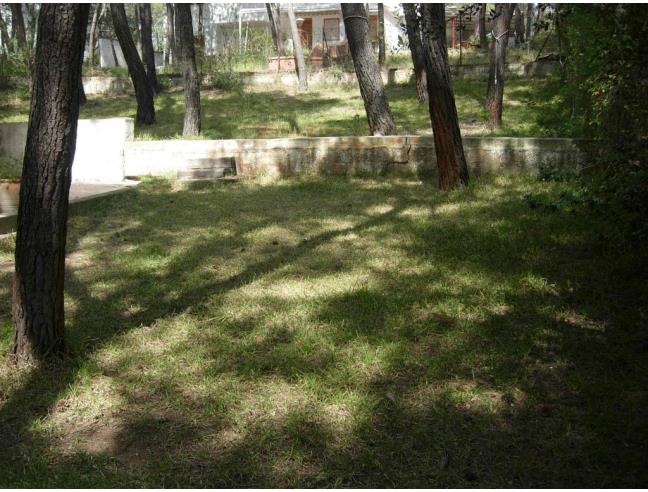 Anteprima foto 5 - Villetta a schiera in Affitto a Castellaneta - Castellaneta Marina