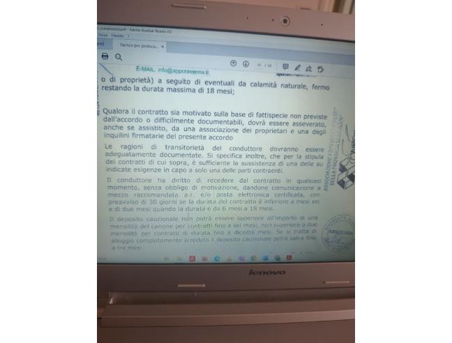 Anteprima foto 3 - Villetta a schiera in Affitto a Faenza (Ravenna)