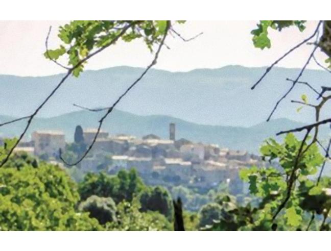 Anteprima foto 2 - Villetta a schiera in Affitto a Monteverdi Marittimo - Canneto