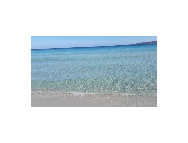 Anteprima foto 7 - Villetta a schiera in Affitto a San Teodoro - Punta Aldia