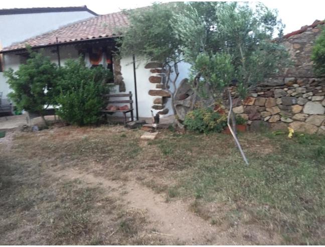 Anteprima foto 8 - Villetta a schiera in Affitto a San Teodoro - Silimini