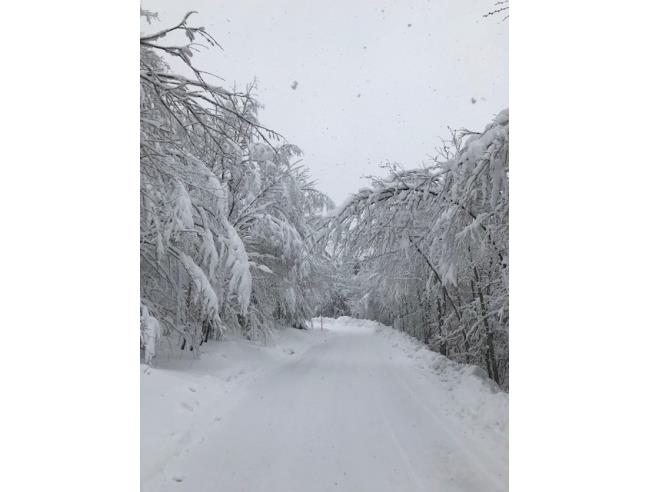 Anteprima foto 4 - Villetta a schiera in Vendita a Abetone Cutigliano (Pistoia)
