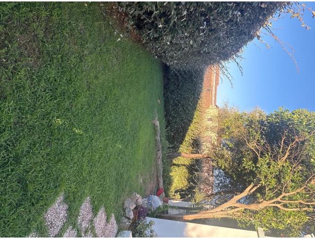 Anteprima foto 6 - Villetta a schiera in Vendita a Arzachena (Sassari)