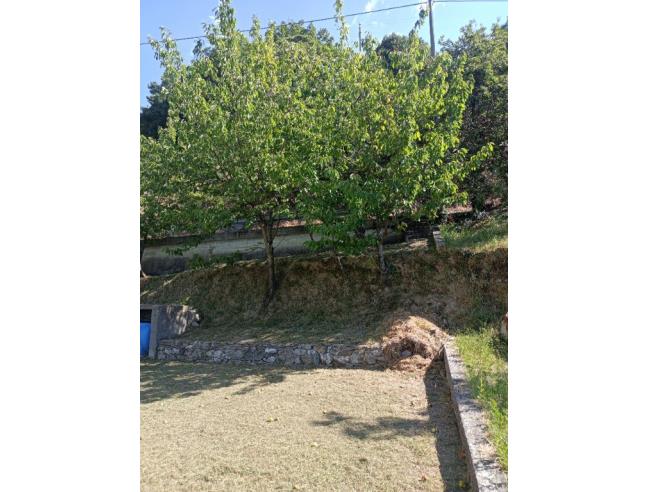 Anteprima foto 6 - Villetta a schiera in Vendita a Borzonasca (Genova)