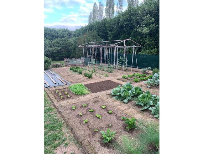 Anteprima foto 3 - Villetta a schiera in Vendita a Cappella Maggiore - Anzano