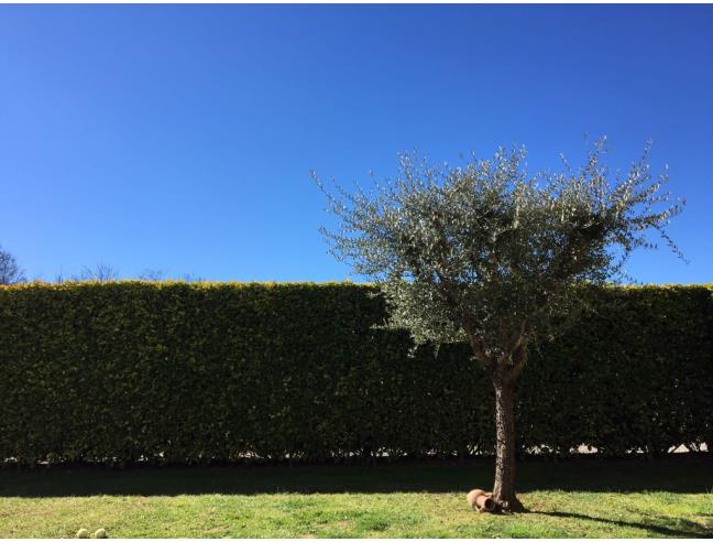 Anteprima foto 4 - Villetta a schiera in Vendita a Cappella Maggiore - Anzano