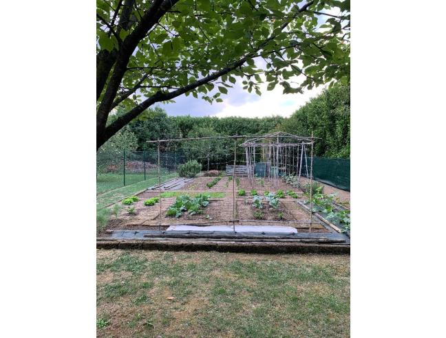 Anteprima foto 8 - Villetta a schiera in Vendita a Cappella Maggiore - Anzano