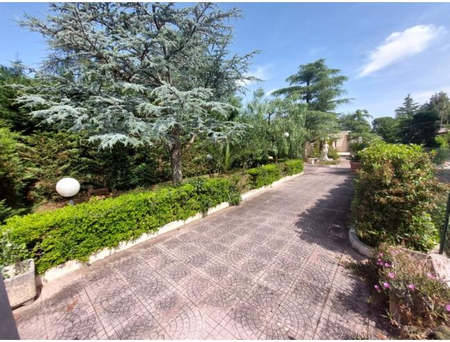 Anteprima foto 3 - Villetta a schiera in Vendita a Cassano delle Murge - Borgo Incoronata