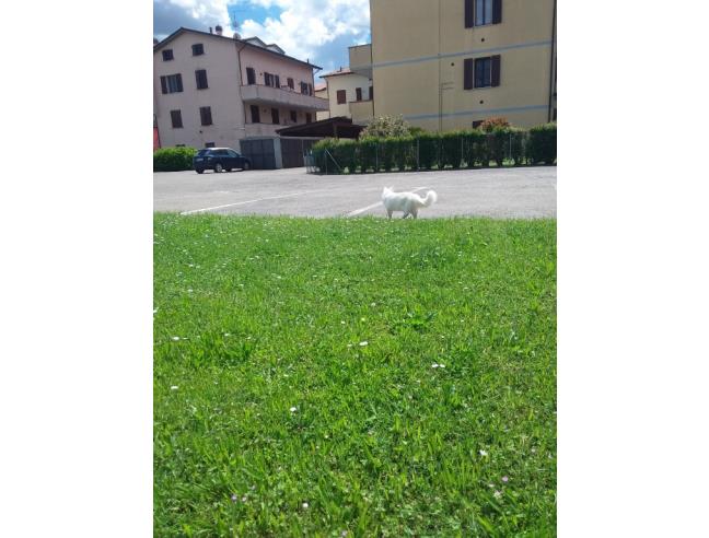 Anteprima foto 2 - Villetta a schiera in Vendita a Castel Bolognese - Ponte Del Castello