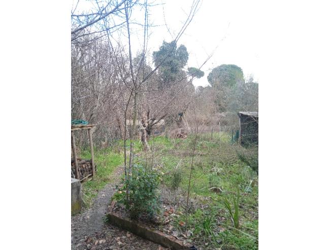 Anteprima foto 8 - Villetta a schiera in Vendita a Castelnuovo Berardenga - Monteaperti