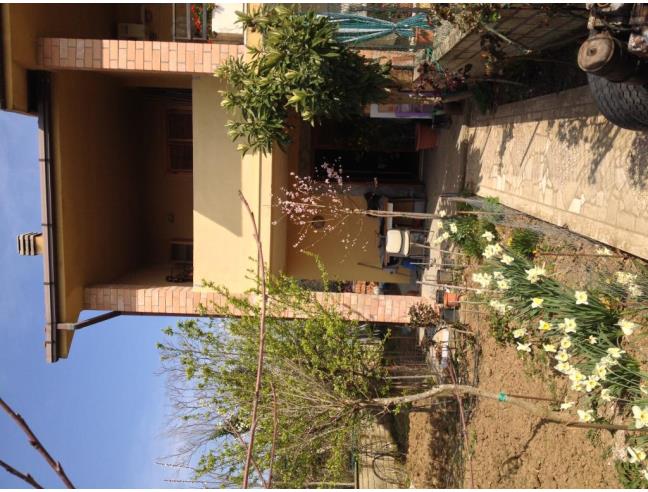 Anteprima foto 2 - Villetta a schiera in Vendita a Castiglione in Teverina - Vaiano